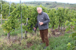 Branko Mihalj i ove godine očekuje zlato za portugizac