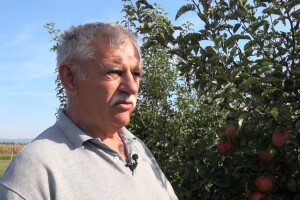 Branko Uzelac: Bit ću sretan ako spasim tri posto jabuka, da imamo hladnjače, postotak bi bio i veći