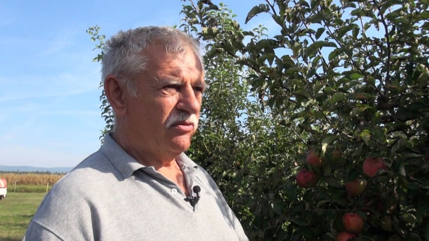 Branko Uzelac: Bit ću sretan ako spasim tri posto jabuka, da imamo hladnjače, postotak bi bio i veći