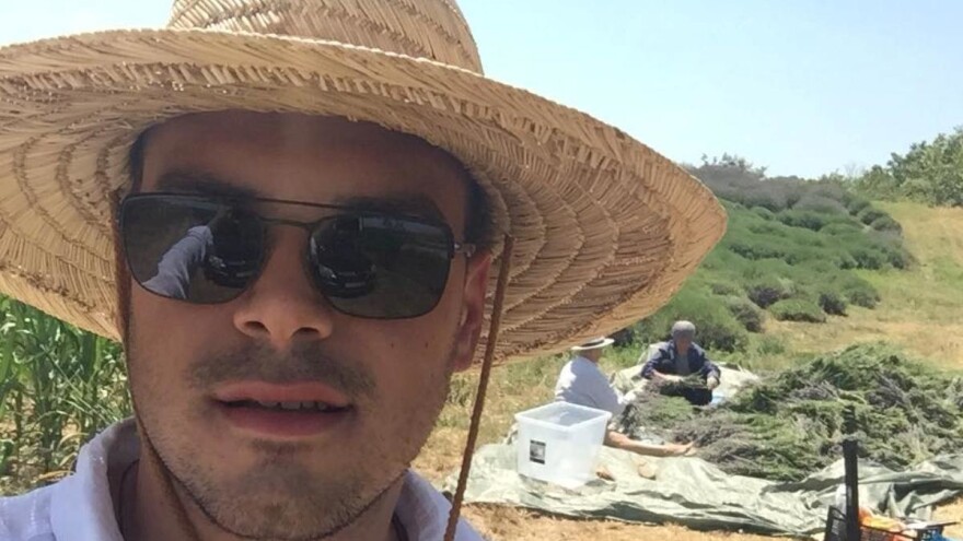 Intuicijom do uzgoja lavande