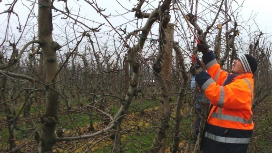 Novi koncept gnojidbe za unapređenje proizvodnje?