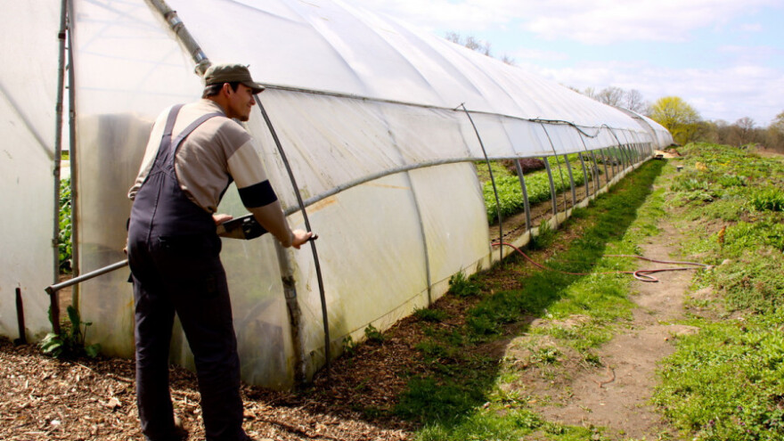 Branitelji pronašli svoj put u poljoprivredi