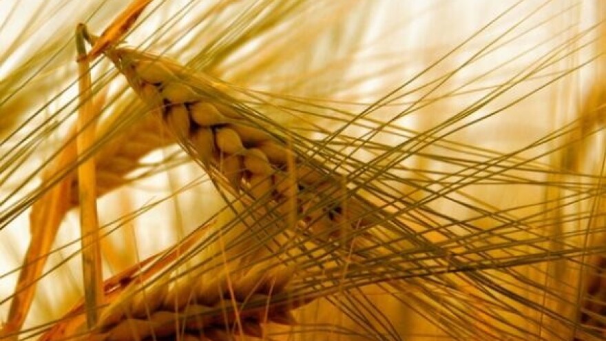 Policija intervenirala zbog pet vreća brašna