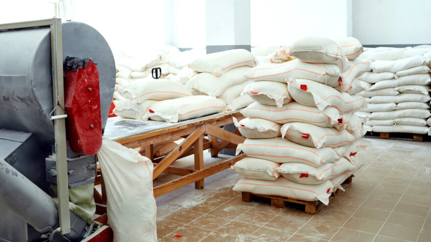 Cena pšenice nikad viša, prolećna setva nikad skuplja, a izvoz brašna zabranjen?