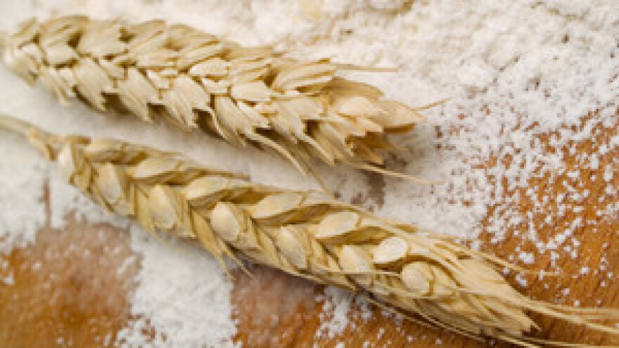 Meso, brašno i mlijeko sve skuplji