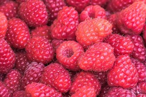 Tradicionalno: 13. Dani maline uz vašar u Bratuncu