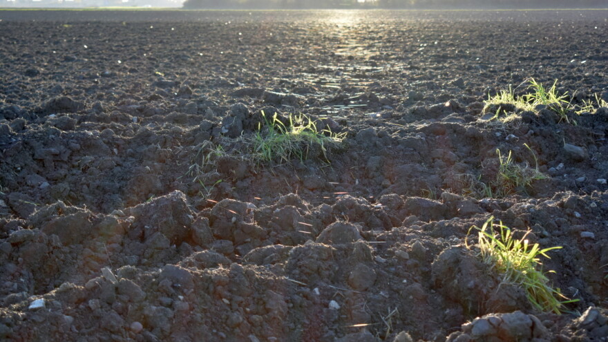 Ubrzava se dodjela državnog poljoprivrednog zemljišta? Raspisano 229 natječaja