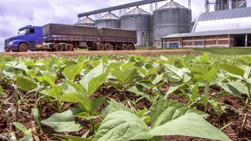 Brazil planira da značajno poveća izvoz mesa, soje i kukuruza