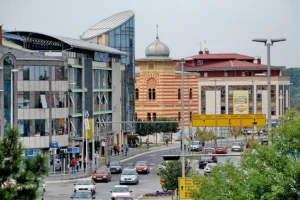 Šljive smo izvozili u 19. vijeku, sad ih krčimo