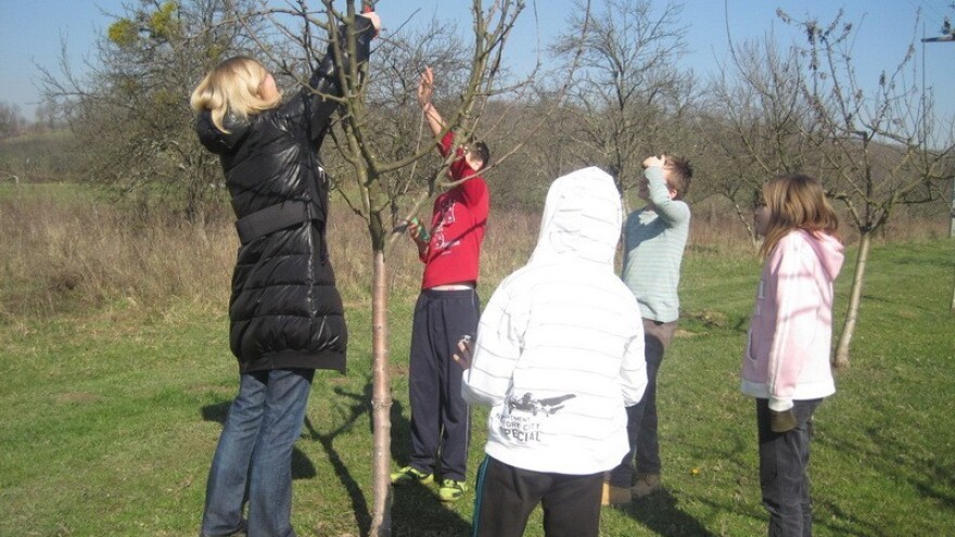 Mladi zadrugari poduzetničkog duha!
