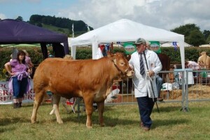Brecon County sajam u engleskom Wattonu
