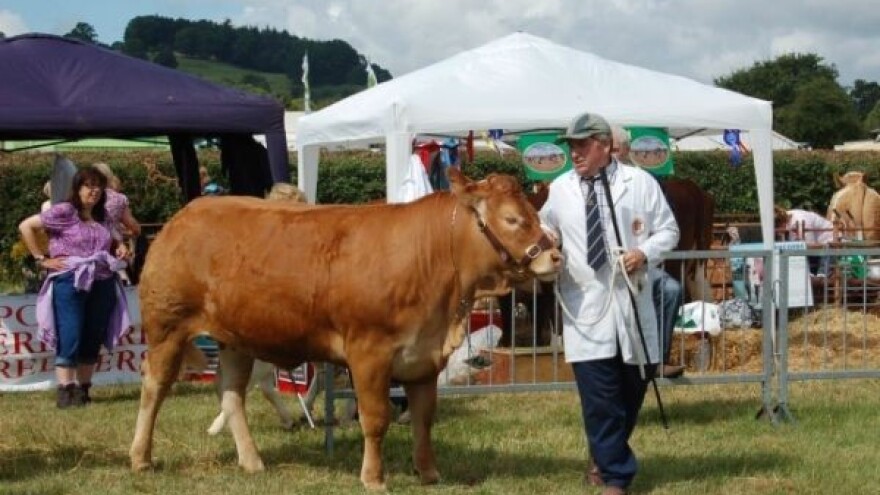 Brecon County sajam u engleskom Vatonu