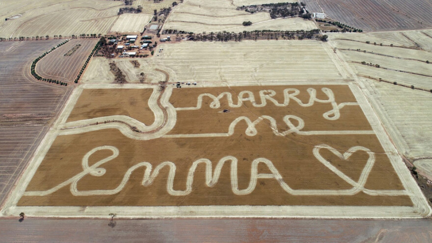 Najromatičniji farmer? Prosidbu ispisao u polju pšenice!