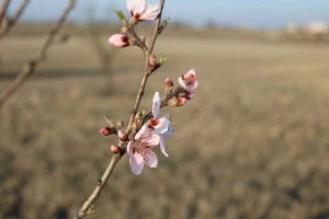 Toplo vreme, ali od petka kiša