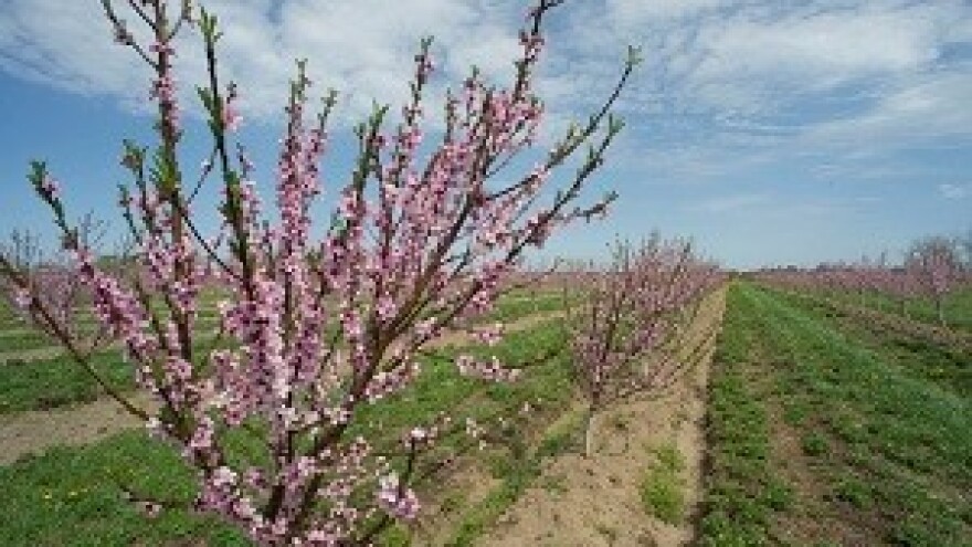 Organska proizvodnja vraća povjerenje potrošača