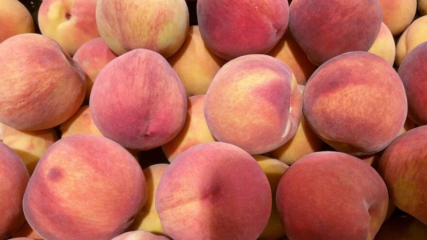 Pojačana kontrola izvoza srpskog voća i povrća za Rusiju