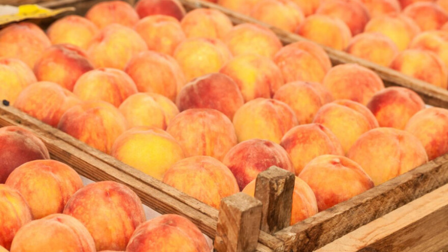 Breskve s Gvineje slali u Rusiju kao bh voće?