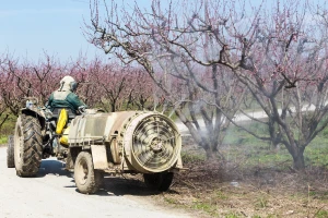 Breskve, nektarine, kajsije i šljive u opasnosti od dvije vrste infekcija