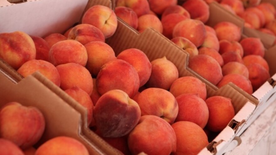 Nema štetnih organizama u vraćenim breskvama