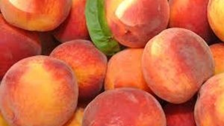 Zaštitite voćne nasade