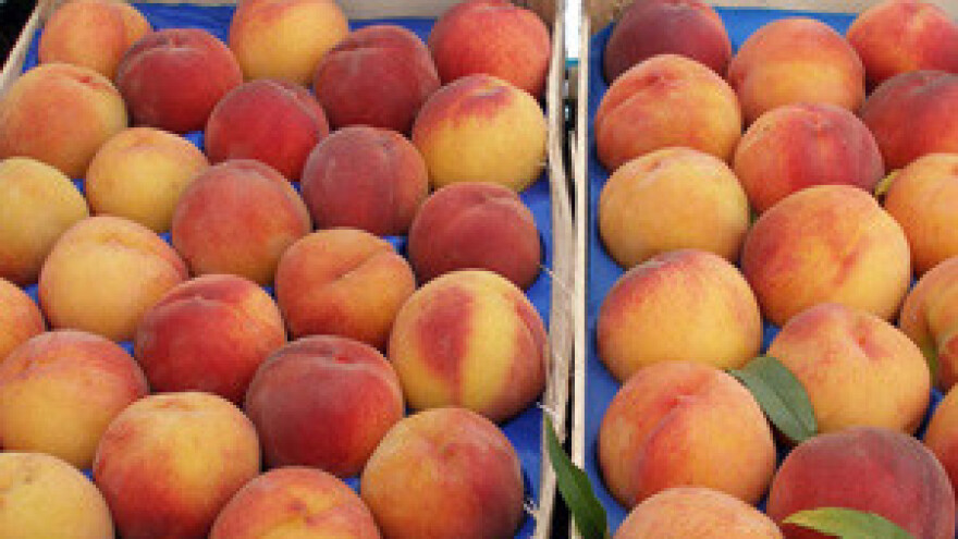 Brdovečke breskve kao u Kaštelima