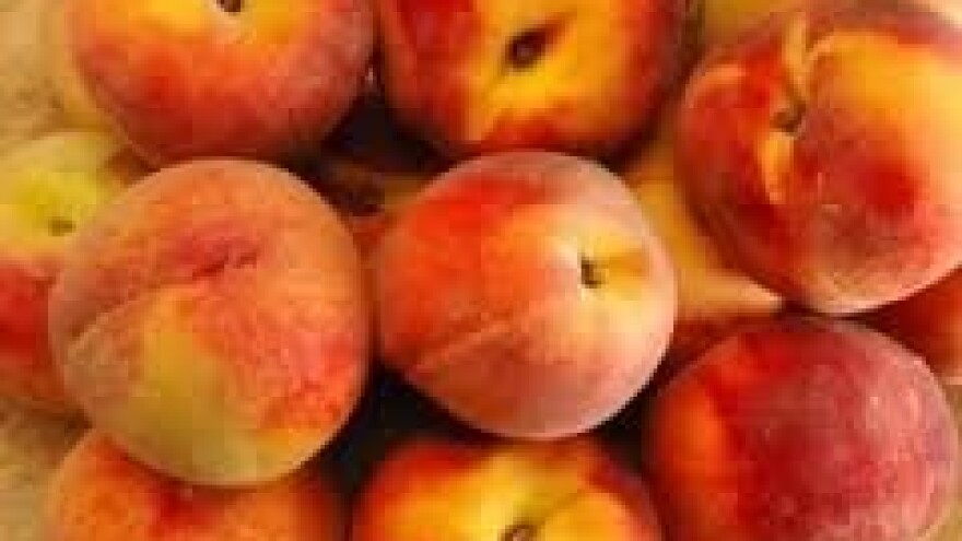 Zaštita nasada koštičavoga voća