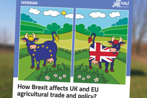 Britanski proizvodi "zapeli" na EU carini, a isto čeka i izvoznike nakon 1. travnja?