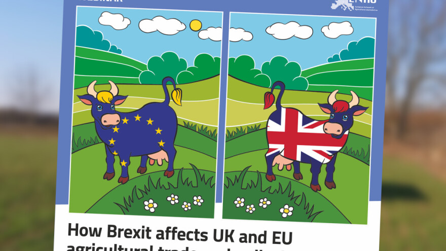 Britanski proizvodi "zapeli" na EU carini, a isto čeka i izvoznike nakon 1. travnja?