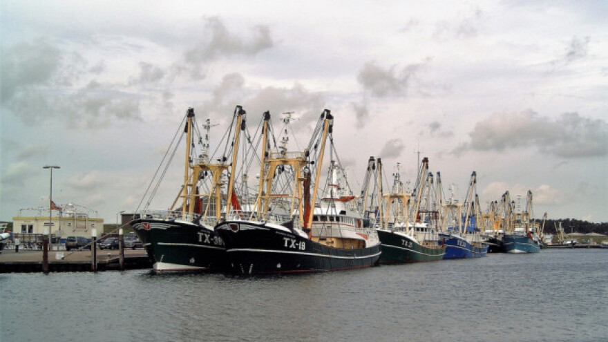 Europski ribari strahuju zbog gubitka britanskog mora