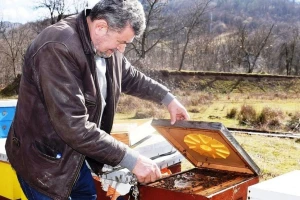 Medved mu provalio u pčelinjak i potpuno uništio pet košnica
