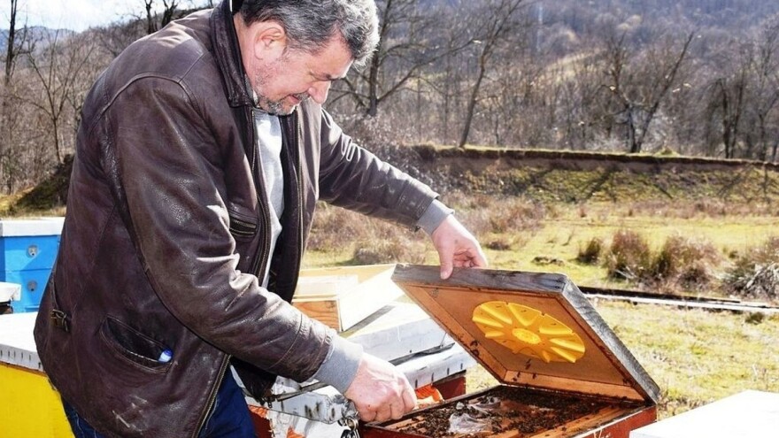 Medved mu provalio u pčelinjak i potpuno uništio pet košnica