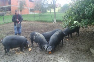 Uz stočarenje i agroturizam mladi ostaju na selu!