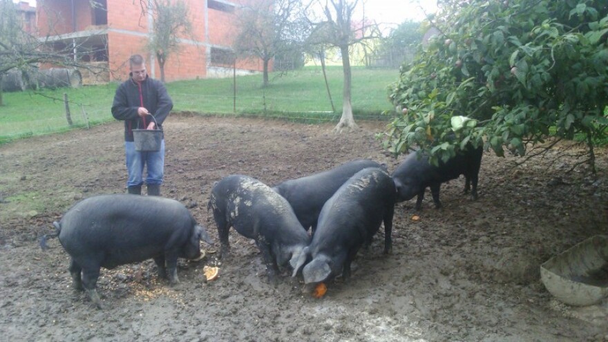 Uz stočarenje i agroturizam mladi ostaju na selu!