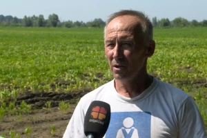 Mato Brlošić: Šećerna repa jedina je ratarska kultura kojoj je cijena porasla