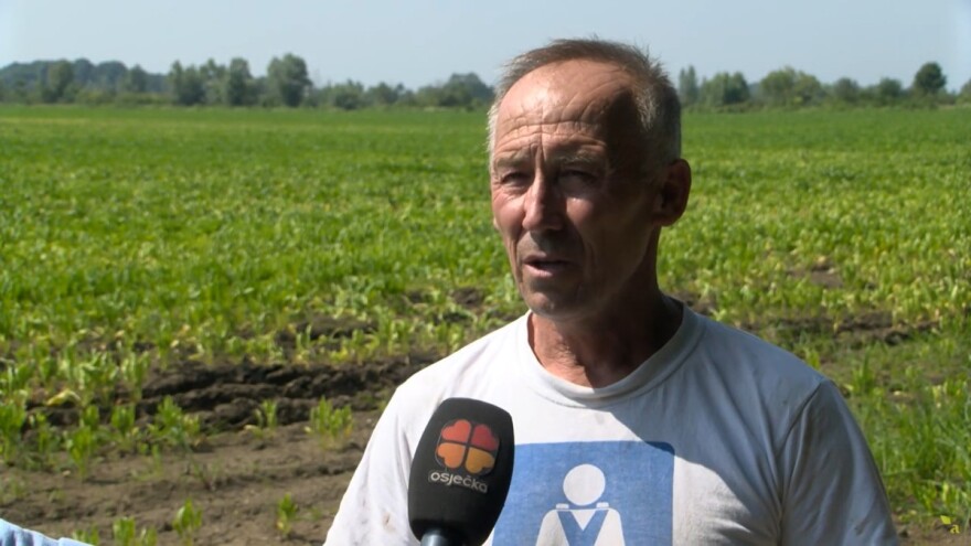Mato Brlošić: Šećerna repa jedina je ratarska kultura kojoj je cijena porasla