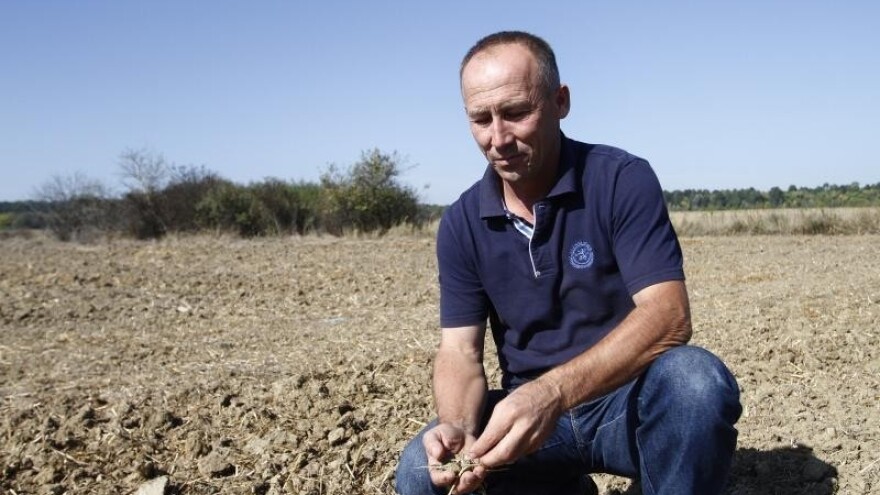 Brlošić: Politika mora promijeniti poljoprivredu