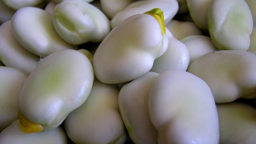 Da li ste posejali bob? Februar je pravo vreme!