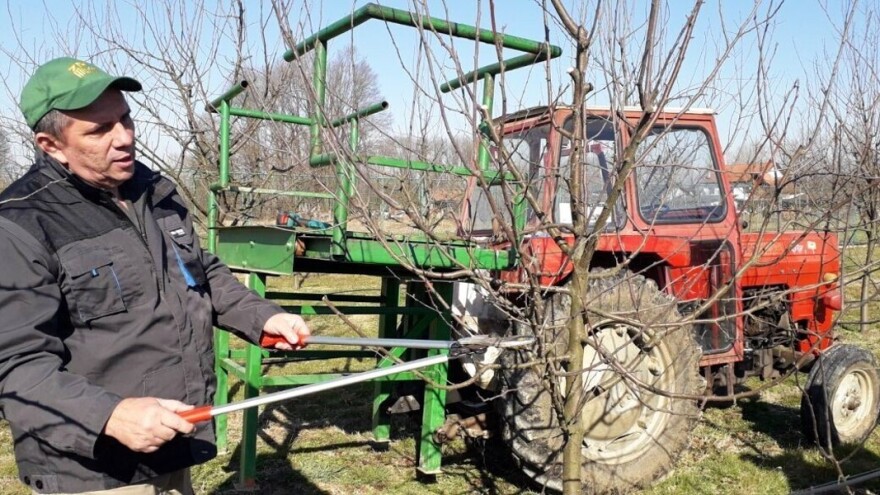Brodskim voćarima ukazano na važnost pravilnog orezivanja