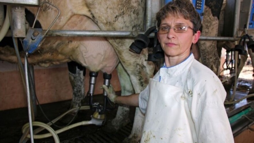 Hrvatska poljoprivreda u brojkama