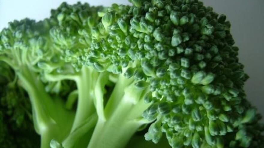 Gnojidbeni pokusi u Bjelovarsko-bilogorskoj županiji