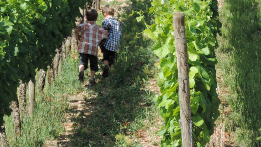 Teran je  i Istrijanin, ali uz određene uvjete