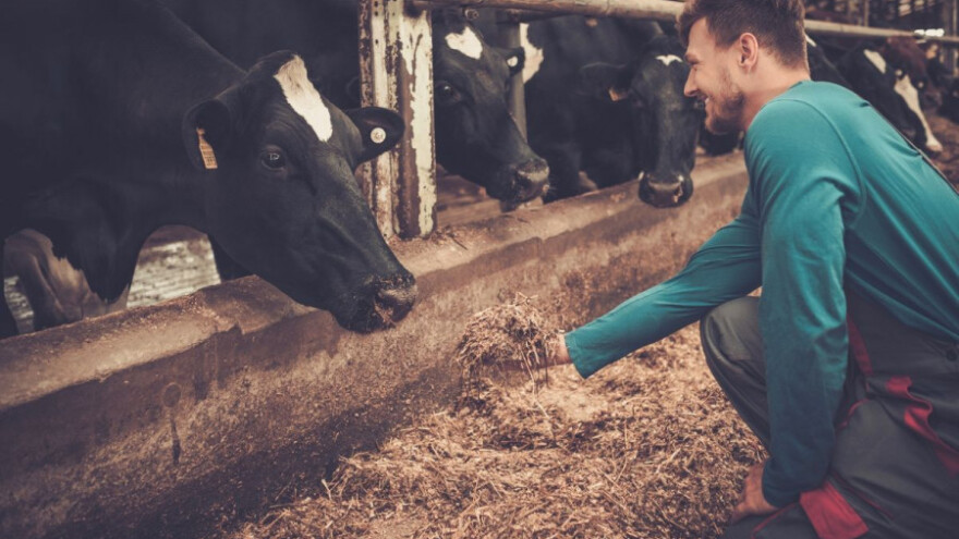 Obavezno testiranje stoke na brucelozu!