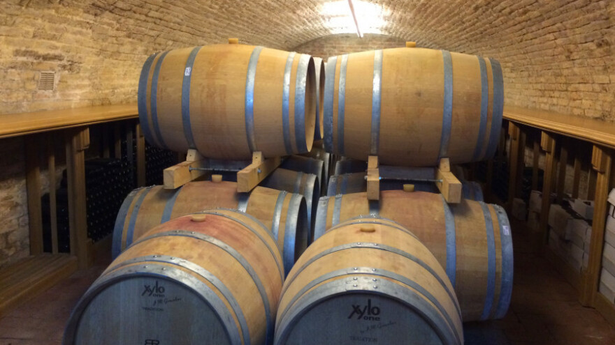 Gdje Dunav ljubi nebo nastaje kontinentalni Vranac