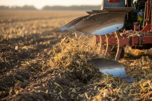 Brzo i efikasno razgradite kukuruzovinu!