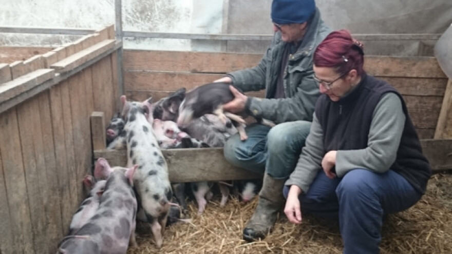 Nove isplate za 78 malih poljoprivrednika