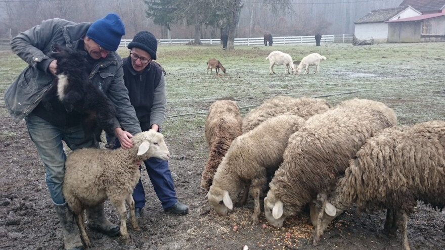 Bubići se na OPG-u vratili u neka druga vremena