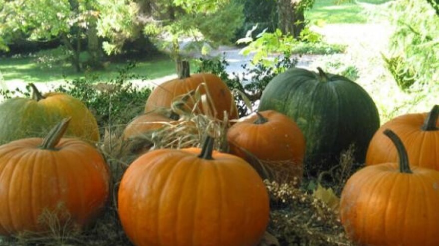 Međunarodni sajam ekologije i zdrave prehrane