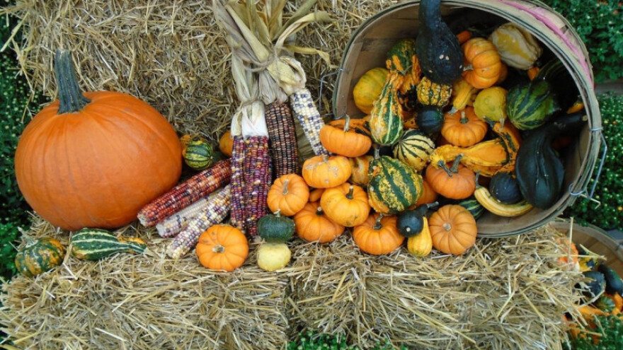 Dođi, okusi i vidi 13. Bučijadu u Ivanić Gradu!