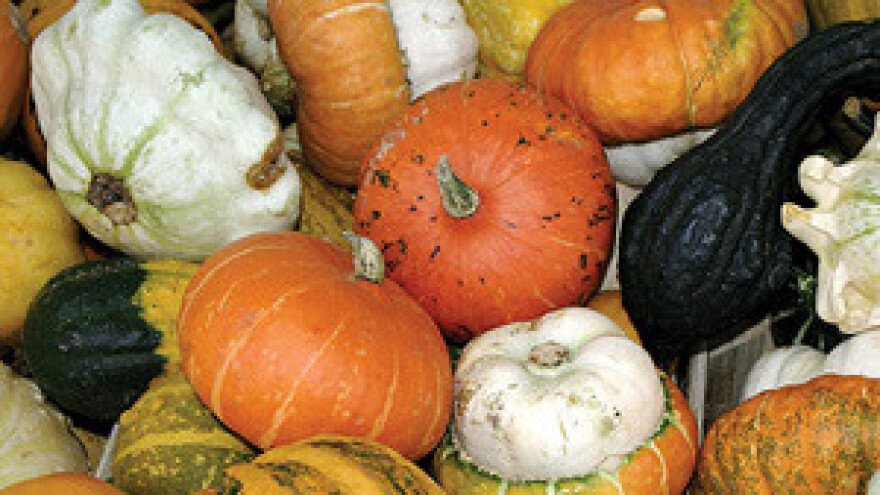 Slavonska košarica iz baranjskog Orlovog puta