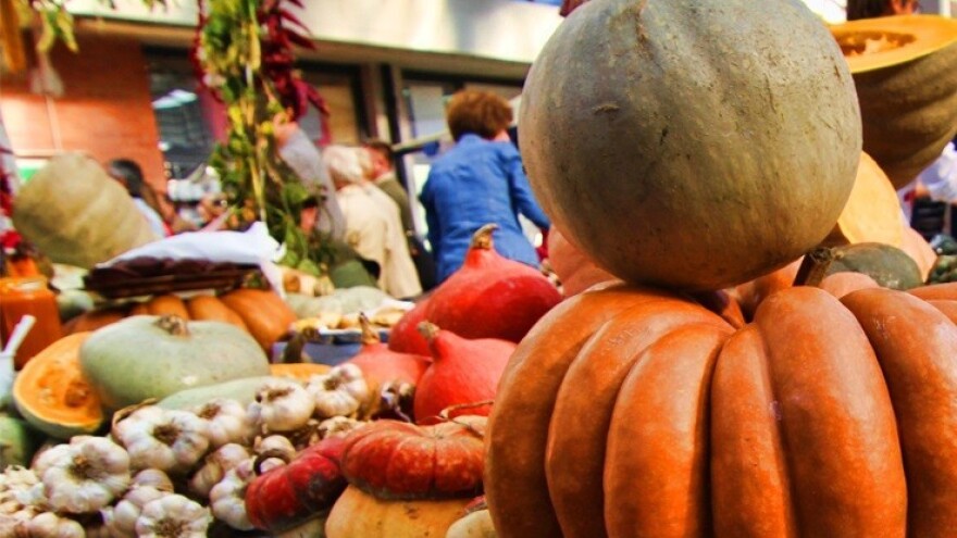 Bučijada u Ivanić-Gradu!